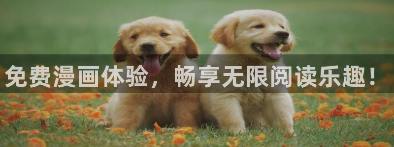 羞羞漫画动态：免费漫画体验，畅享无限阅读乐趣！